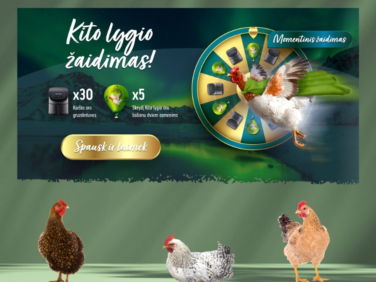 Vilniaus paukštynas – Žaidimo organizavimas ir koordinavimas · LT